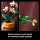 LEGO Botanicals 10343 Mała orchidea - 1283645 - zdjęcie 6